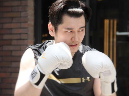 艺兴最新爆料事件视频大全,视频大全回顾与深度解析  第3张